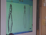 1回目と2回目の比較