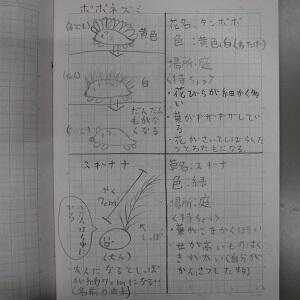 理科の部屋 日野市立日野第四小学校