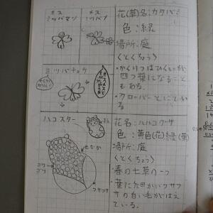 理科の部屋 日野市立日野第四小学校