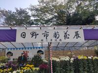 日野市菊花展２