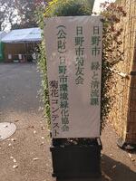 日野市菊花展１