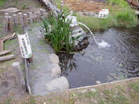 注水はじめました１