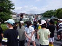 代搔き１