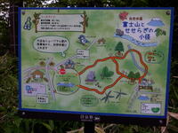 八ヶ岳⑨