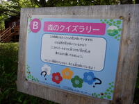 八ヶ岳⑪