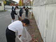 学校南側の清掃のようす