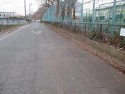 すっかりきれいになった道路