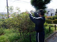 日野市役所